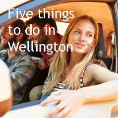 five-things-to-do-in-wellington